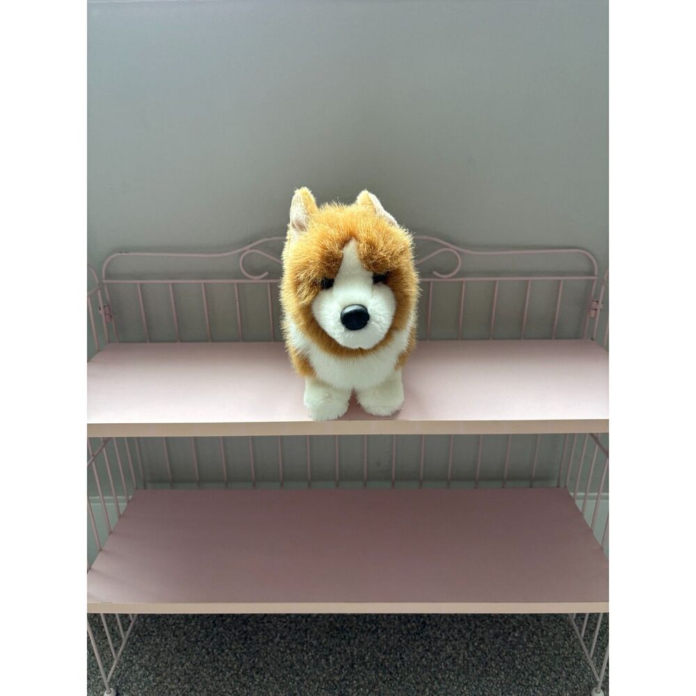 Douglas louie corgi